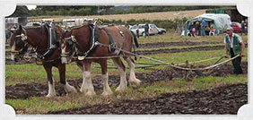 Lake District Farming
